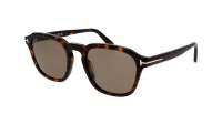 Tom Ford Avery FT0931/S 52H 52-21 Tartaruga