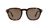 Tom Ford Avery FT0931/S 52H 52-21 Tartaruga