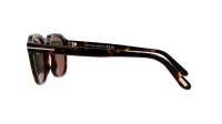 Tom Ford Avery FT0931/S 52H 52-21 Tartaruga