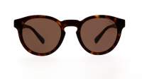 Polo Ralph Lauren PH4184 500373 49-22 Shiny Dark Havana