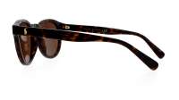 Polo Ralph Lauren PH4184 500373 49-22 Shiny Dark Havana