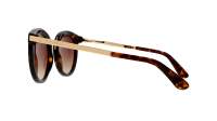 Dolce & Gabbana DG4268 502/13 52-22 Havana