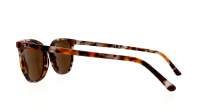 Ray-ban Elliot  RB2197 135757 52-19 Havana brown grey