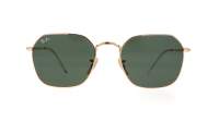 Ray-Ban Jim RB3694 001/31 55-20 Arista