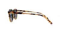 Garrett Leight Royce 2100 DKT/SFBS 47-23 Dark Tortoise