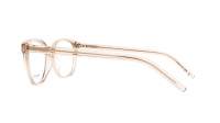 Saint Laurent SL M113 003 54-17 Nude transparent