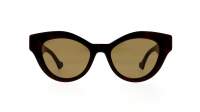 Gucci GG0957S 006 51-19 Havane