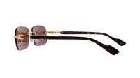 Gucci GG1221S 002 56-16 Oro